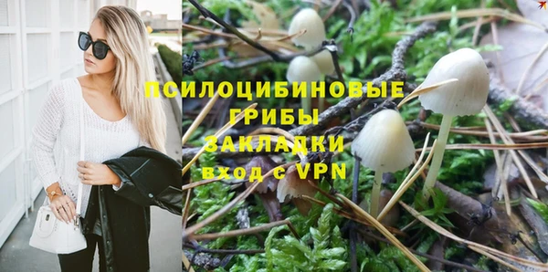 твердый Зеленодольск