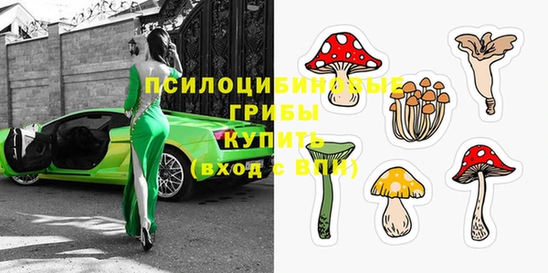 твердый Зеленодольск