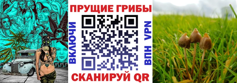 гидра как войти  магазин продажи наркотиков  Батайск  Псилоцибиновые грибы Magic Shrooms 